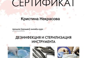 Диплом / сертификат №19 — Некрасова Кристина Александровна