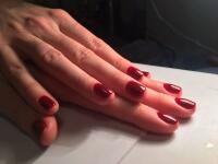 Shellac Темный красный — Никитишина Евгения Анатольевна