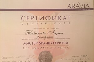 Диплом / сертификат №2 — Николаева Лариса Робертовна