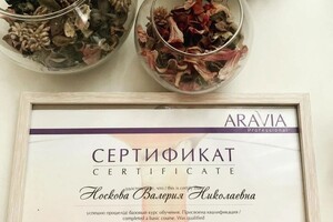 Диплом / сертификат №22 — Носкова Валерия Николаевна