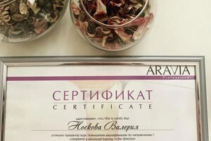 Диплом / сертификат №24 — Носкова Валерия Николаевна