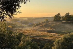 Диплом / сертификат №1 — Онищенко Евгения Олеговна