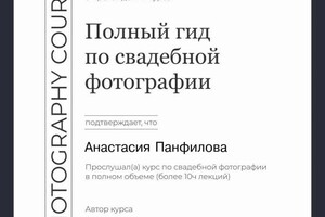 Диплом / сертификат №12 — Панфилова Анастасия Александровна