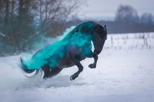 Фотосессия с красками холи — Панкина Александра Павловна