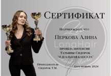 Диплом / сертификат №17 — Перкова Алина Геннадьевна