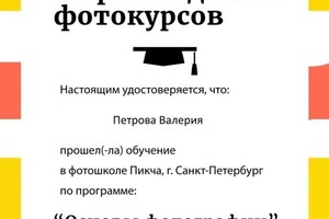 Диплом / сертификат №5 — Петрова Валерия Александровна