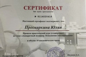 Диплом / сертификат №4 — Просвиркина Юлия Анатольевна