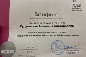 Диплом / сертификат №14 — Рудковская Антонина Анатольевна