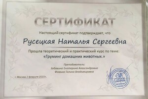 Диплом / сертификат №1 — Русецкая Наталья Сергеевна