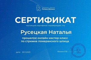 Диплом / сертификат №3 — Русецкая Наталья Сергеевна