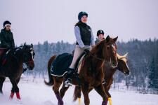 Фотосъемка детского конного лагеря в Серпухове. Репортаж — Сагитова Альбина Ильдусовна