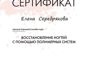 Диплом / сертификат №10 — Серебрякова Елена Андреевна