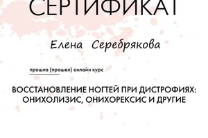 Диплом / сертификат №12 — Серебрякова Елена Андреевна