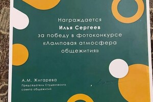 Диплом / сертификат №3 — Сергеев Илья Алексеевич