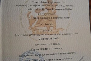 Диплом / сертификат №16 — Серых Лейла Гурамовна