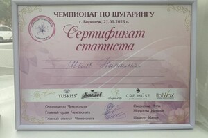 Диплом / сертификат №13 — Шаль Наталья Игоревна