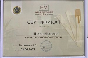 Диплом / сертификат №6 — Шаль Наталья Игоревна