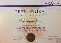 Сертификат о прохождении курса обучения — Шеховцова Евгения Викторовна