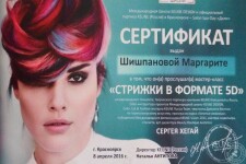 Сертификат о прохождении обучающего курса (2016 г.) — Шишпанова Маргарита Алексеевна