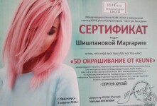 Сертификат участника мастер-класса (2016 г.) — Шишпанова Маргарита Алексеевна