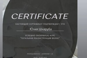 Диплом / сертификат №10 — Шкаруба Юлия Юрьевна