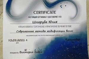 Диплом / сертификат №25 — Шкаруба Юлия Юрьевна