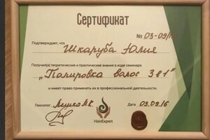 Диплом / сертификат №26 — Шкаруба Юлия Юрьевна