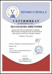 Диплом / сертификат №1 — Шлапакова Виктория Владимировна