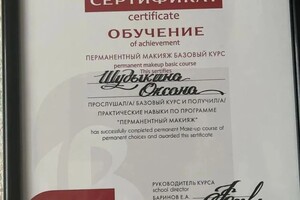 Диплом / сертификат №4 — Шудыкина Оксана Валерьевна