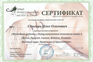 Диплом / сертификат №12 — Снигирь Олег Олегович