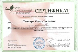 Диплом / сертификат №5 — Снигирь Олег Олегович