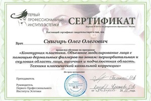 Диплом / сертификат №6 — Снигирь Олег Олегович