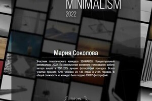 Диплом / сертификат №13 — Соколова Мария Михайловна