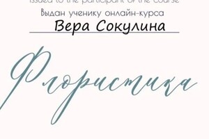 Диплом / сертификат №1 — Сокулина Вера Сергеевна