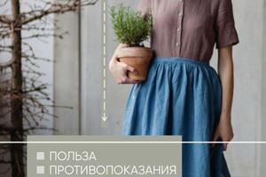 Портфолио №61 — Солнышкова Ксения Сергеевна