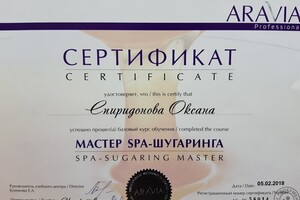 Диплом / сертификат №18 — Спиридонова Оксана Викторовна