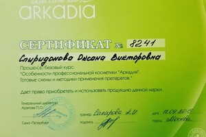 Диплом / сертификат №3 — Спиридонова Оксана Викторовна