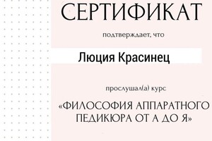 Диплом / сертификат №4 — Степанова Люция Владимировна