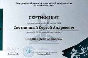 Диплом / сертификат №11 — Светличный Сергей Андреевич