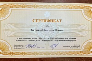 Диплом / сертификат №2 — Тартыгина Анастасия Юрьевна