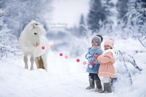 Семейный фотограф — Тесля Наталия Анатольевна