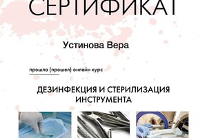 Диплом / сертификат №1 — Устинова Вера Александровна