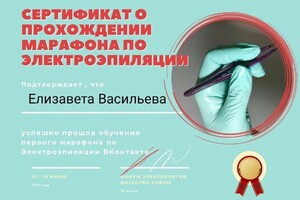 Диплом / сертификат №10 — Васильева Елизавета Павловна