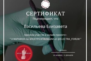 Диплом / сертификат №14 — Васильева Елизавета Павловна