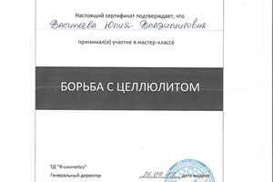 Диплом / сертификат №3 — Васильева Юлия Владимировна