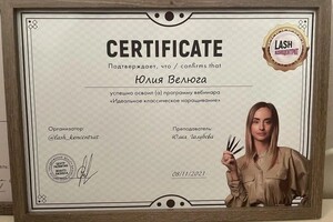 Диплом / сертификат №3 — Велюга Юлия Сергеевна