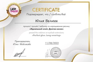 Диплом / сертификат №4 — Велюга Юлия Сергеевна