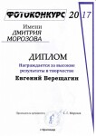 Диплом / сертификат №2 — Верещагин Евгений