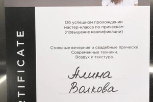 Диплом / сертификат №13 — Волкова Алина Владимировна