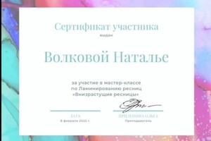 Диплом / сертификат №9 — Волкова Наталья Николаевна